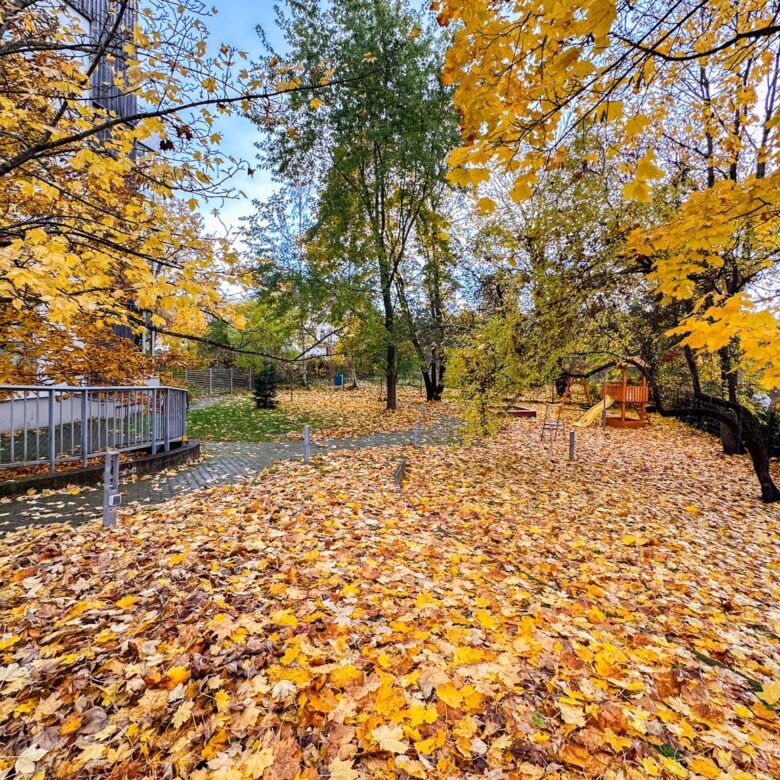 Irlavas 4 – attēls 10